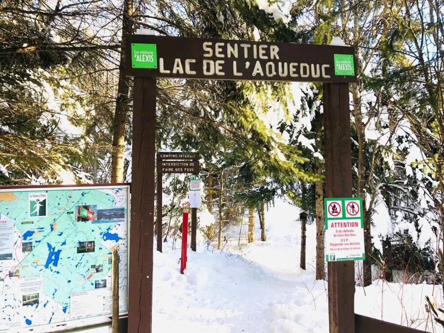 Chalets Nabu La Sacacomie - Riviere - Billard Saint-Alexis-des-Monts Exterior photo